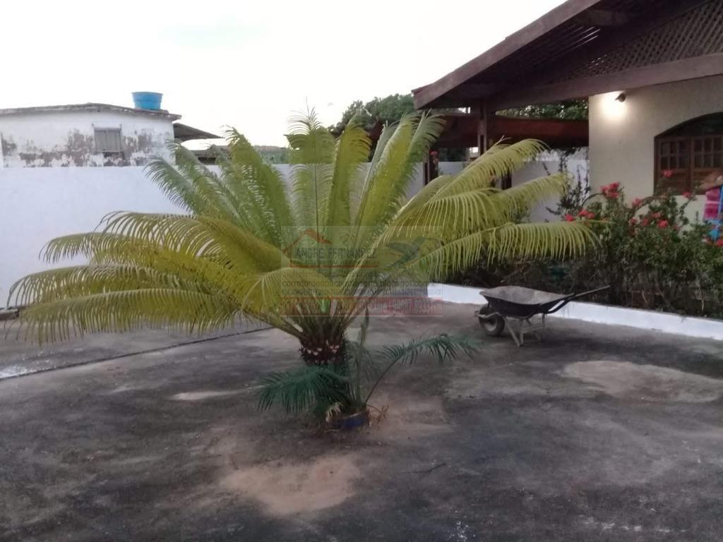 Terreno à venda com 2 quartos, 110m² - Foto 6