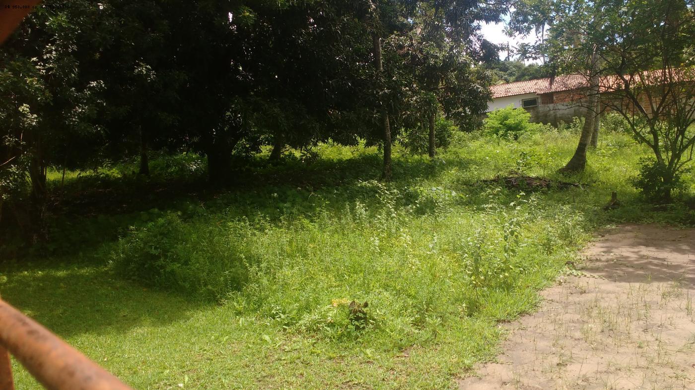 Terreno à venda, 6100m² - Foto 6
