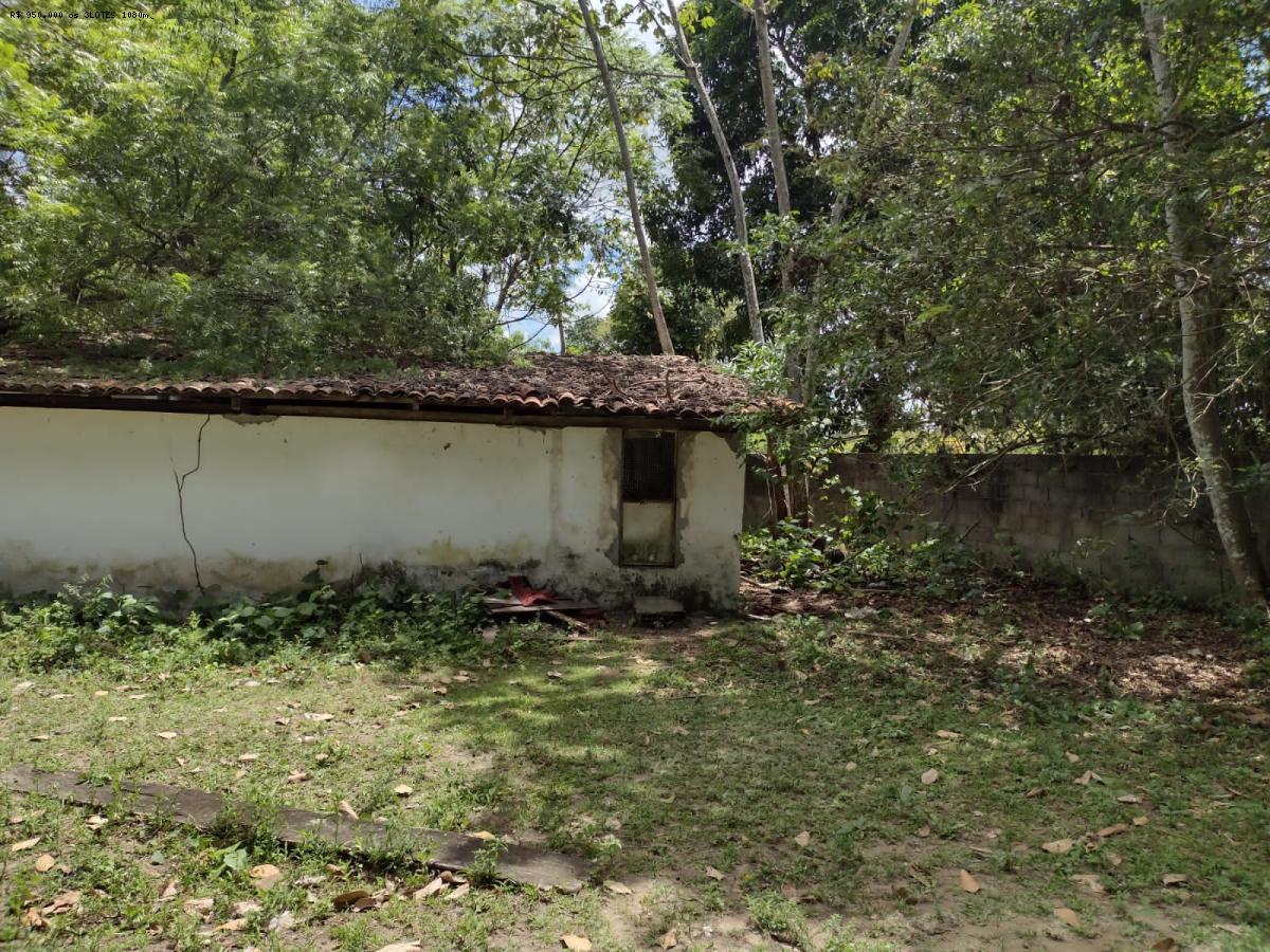 Sítio à venda com 4 quartos, 280m² - Foto 28