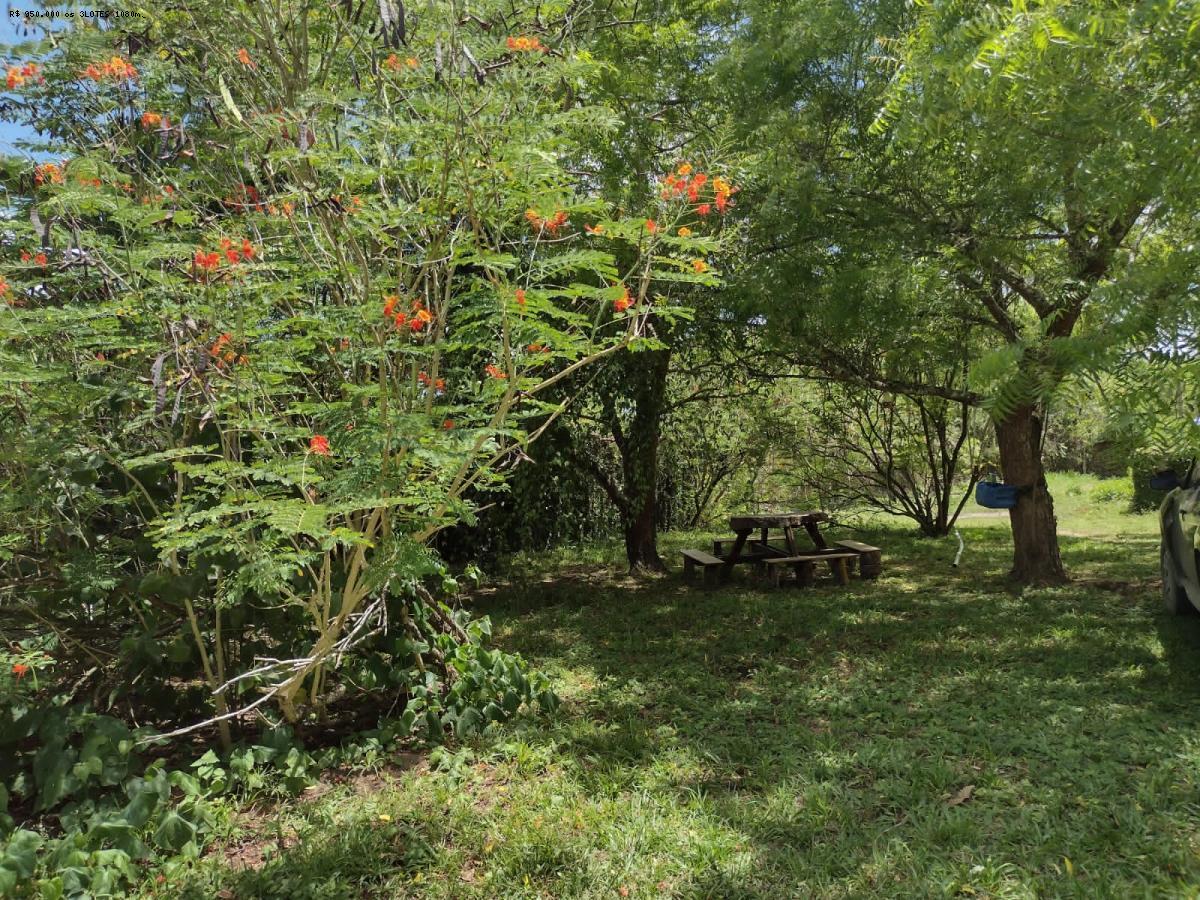 Sítio à venda com 4 quartos, 280m² - Foto 29
