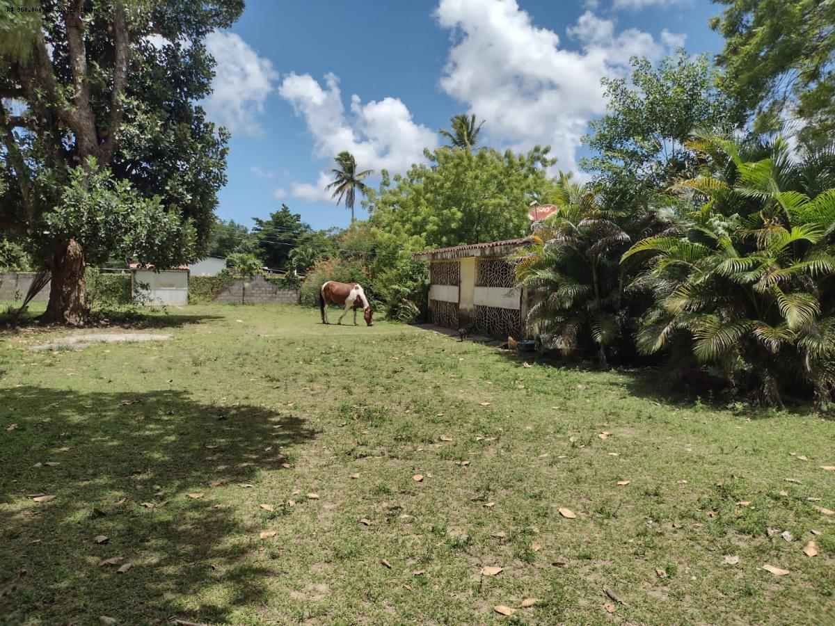 Sítio à venda com 4 quartos, 280m² - Foto 27