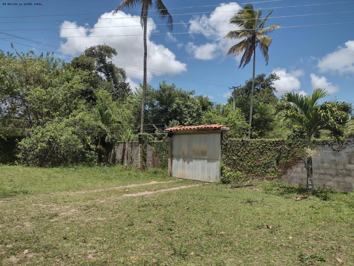 Sítio à venda com 4 quartos, 280m² - Foto 30