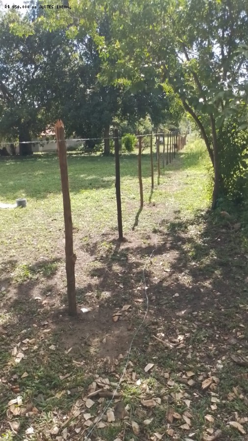 Terreno à venda, 6100m² - Foto 2
