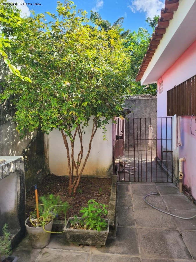 Casa à venda com 7 quartos, 390m² - Foto 10