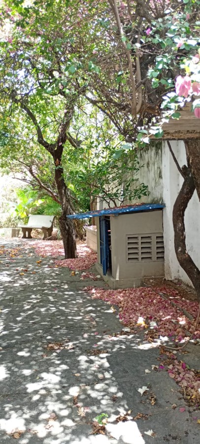 Casa, 5 quartos, 189 m² - Foto 25