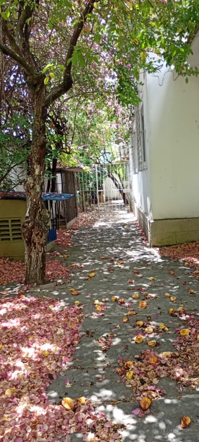 Casa, 5 quartos, 189 m² - Foto 26