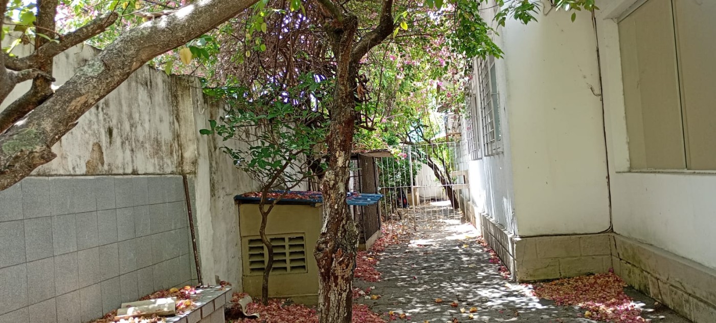 Casa, 5 quartos, 189 m² - Foto 28