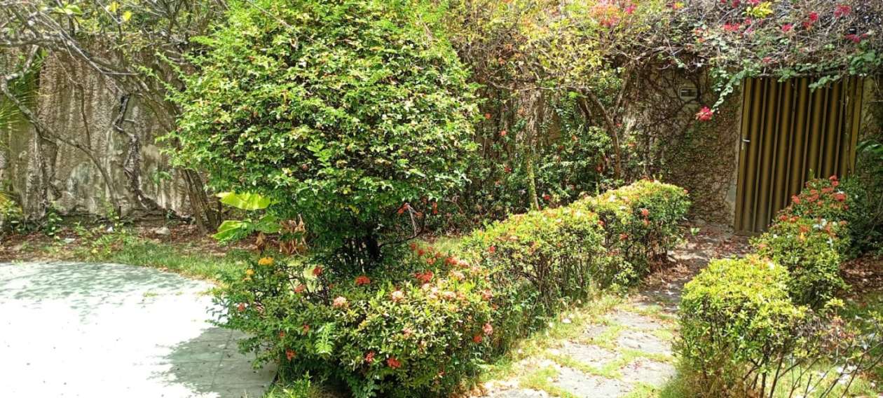 Casa, 5 quartos, 189 m² - Foto 29