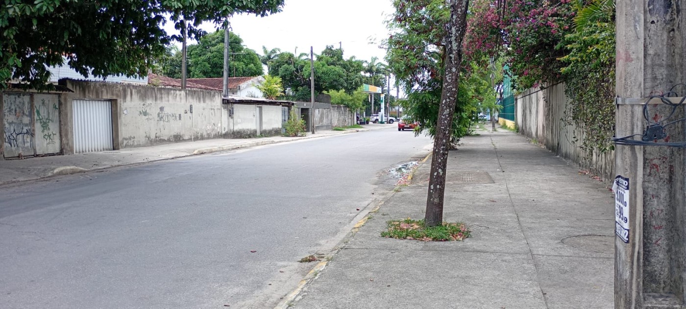 Casa, 5 quartos, 189 m² - Foto 31