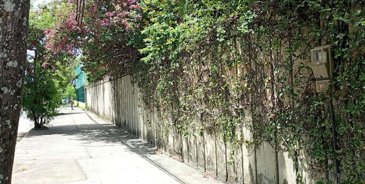 Casa, 5 quartos, 189 m² - Foto 32