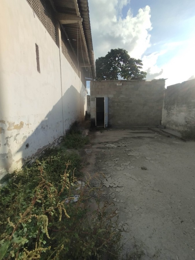Depósito-Galpão, 1000 m² - Foto 4