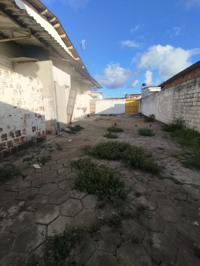 Depósito-Galpão, 1000 m² - Foto 7