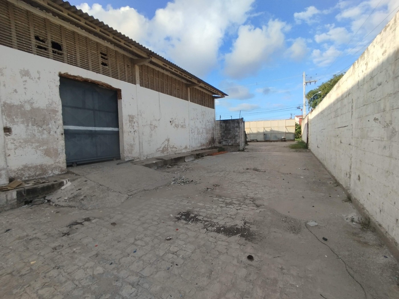 Depósito-Galpão, 1000 m² - Foto 12